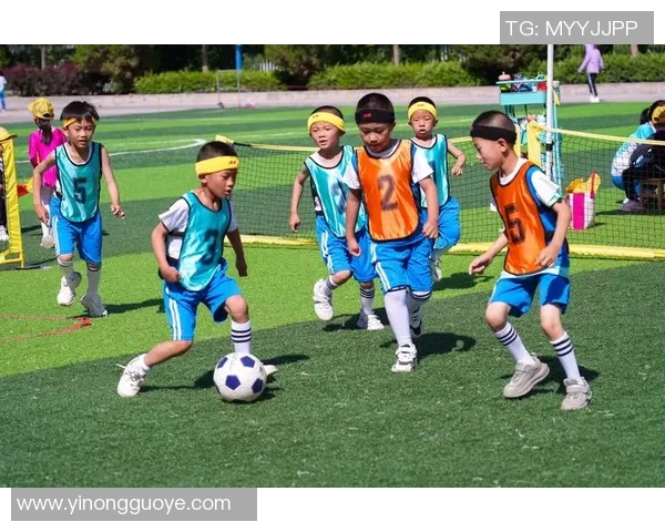 从绿茵场到全球舞台:解析足球运动员的职业生涯与个人魅力