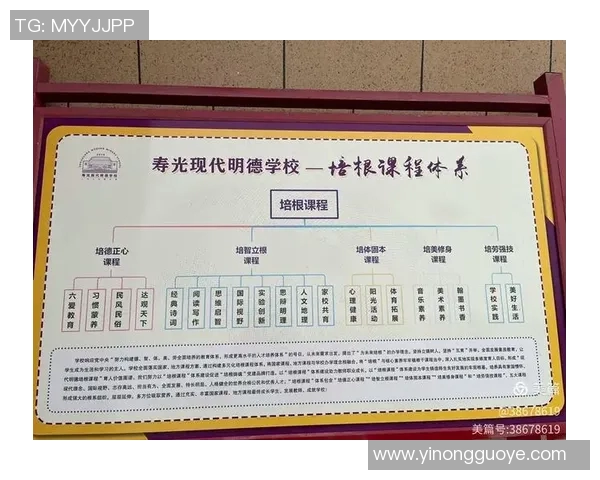 竞技体育发展现状与未来趋势分析：从传统项目到新兴运动的全面探讨